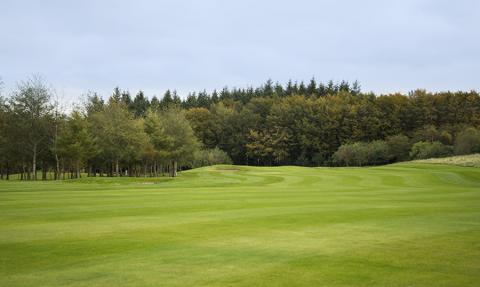 17th tee - slight dog leg to left, nice bunker to catch the errant tee shot