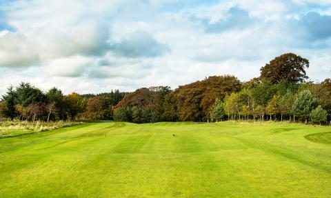 Club Selection is important on this downhill shot, you can play it short and use the slopes but beware of green-side bunkers, and big slope at back