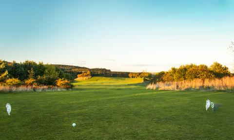 14th tee - get over the brow of the hill and the fairway runs down giving you a good view of the green