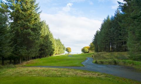 One more straight drive required, try and get past the big tree in the fairway