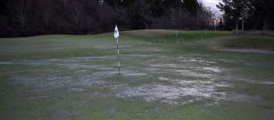 Course Closed Today Wed 30th December