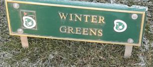 Winter Greens Today Thurs 3rd Dec