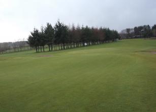 6th winter green