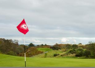 Course Improvements - 11th & 12th Holes