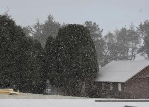 9.15am Snow Shower