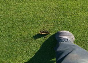 4th Green