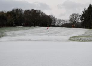 18th Winter Green