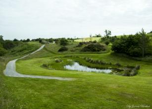 Golf Course 